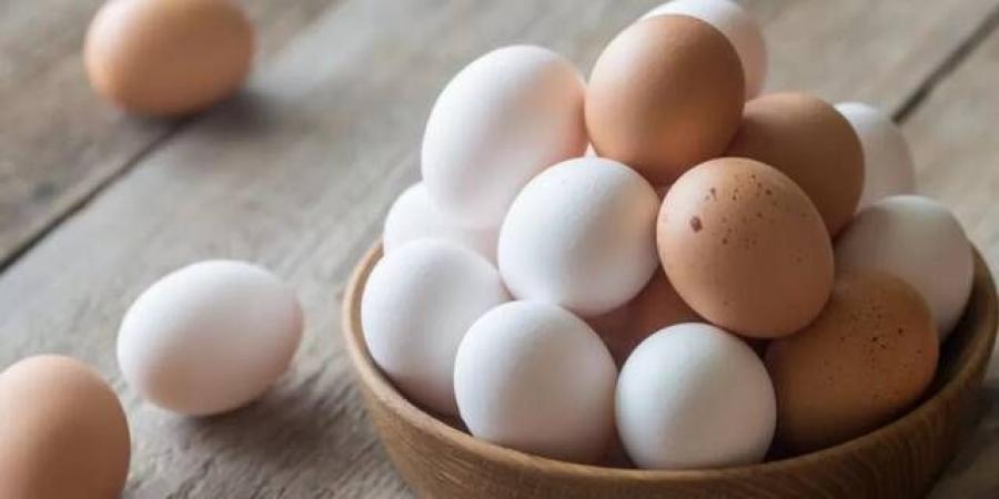 الحكومة
      الأمريكية
      ترفع
      دعوى
      ضد
      كاليفورنيا
      بسبب
      أسعار
      البيض