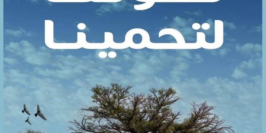 «نصون بيئتنا لتحمينا».. مبادرة لتعزيز مفاهيم الاستدامة البيئية