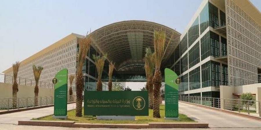 وزارة
      البيئة
      تطرح
      فرصة
      استثمارية
      لإقامة
      مصنع
      أعلاف
      بمنطقة
      تبوك