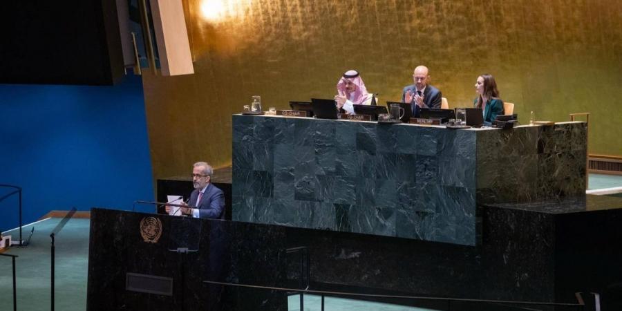 وزير الخارجية يشارك في ترؤس جلسة اليوم الثاني لمؤتمر حل الدولتين