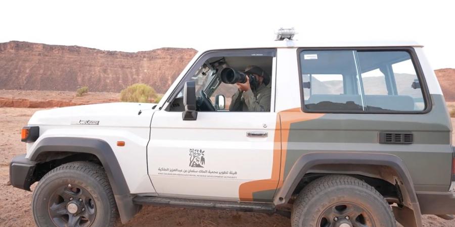 هيئة تطوير محمية الملك سلمان بن عبدالعزيز الملكية تفعل اليوم العالمي للجوالين
