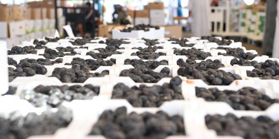 سوق التمور بالمدينة فرصة واعدة لرواد الأعمال من الشباب السعودي