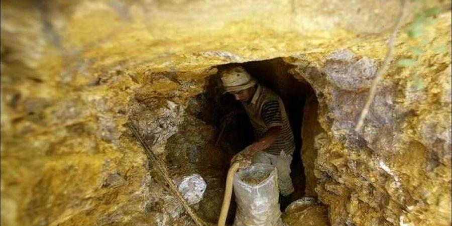 النيجر
      تعلن
      تأميم
      شركة
      "إس
      أم
      إل"
      المشغلة
      لمنجم
      الذهب
      الوحيد
      في
      البلاد