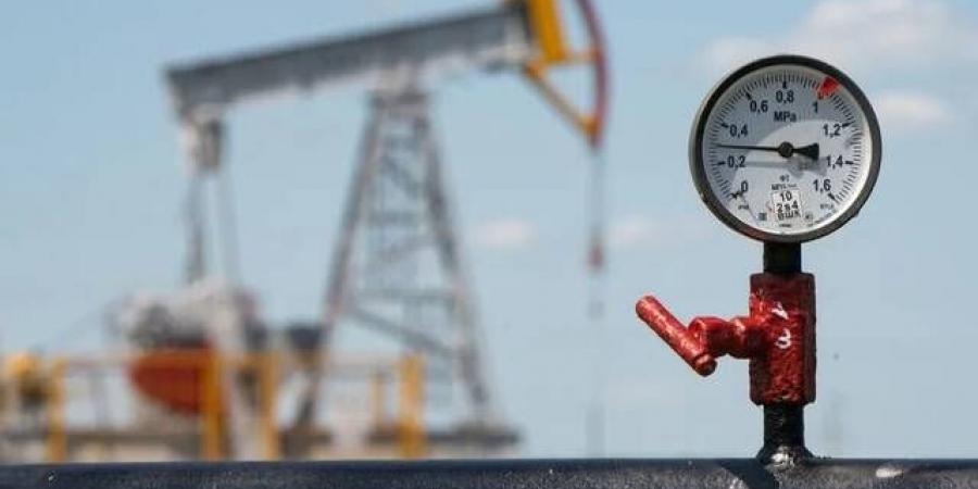 استقرار
      النفط
      مع
      تعويض
      ارتفاع
      الإنتاج
      عن
      اضطرابات
      الإمدادات
      الروسية