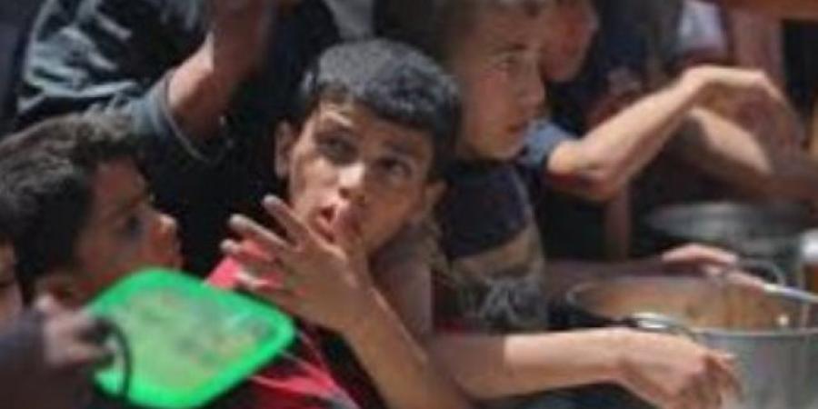 منظمات فلسطينية: الوضع الصحي بغزة بحاجة لتدخل فوري لوقف الكارثة الإنسانية