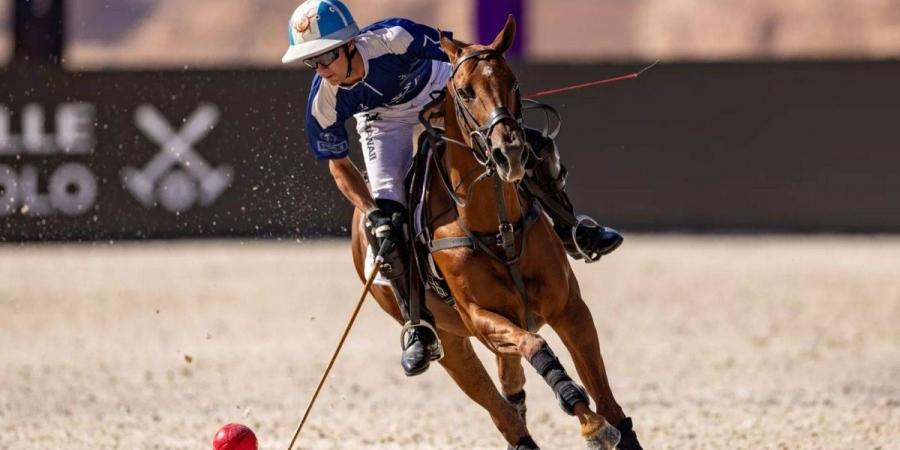 رياضة الملوك" و"سباق الدروب" يجذبان أنظار العالم إلى دفء العلا