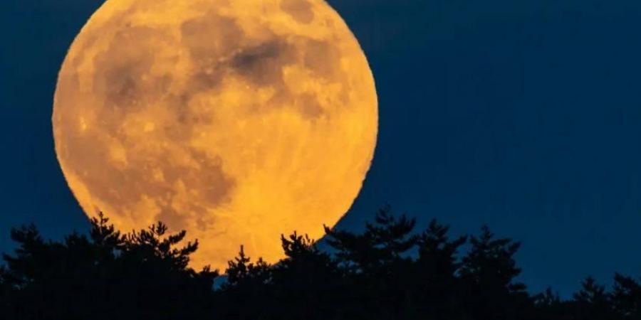 بدر الفراشة يزين سماء المنطقة العربية