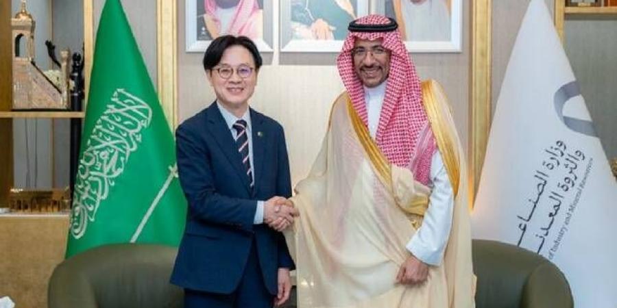 وزير الصناعة يبحث تعزيز التعاون مع كوريا بمجالات التصنيع المتقدم والتحول الصناعي
