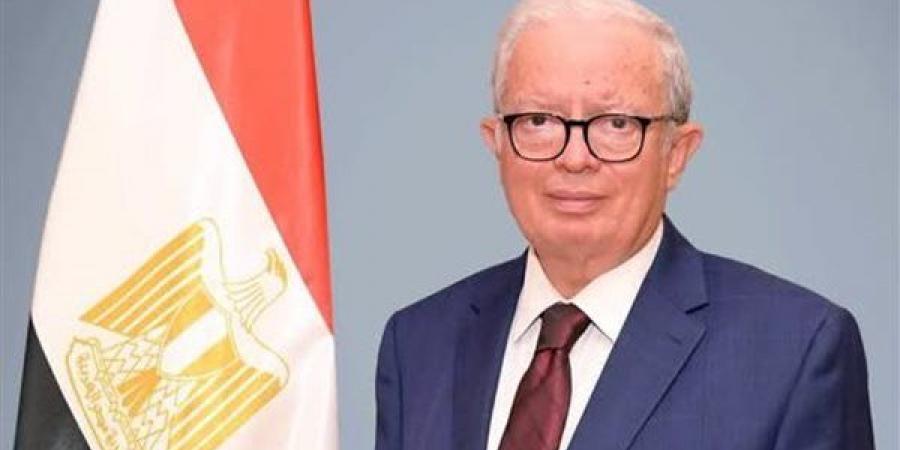 نائب رئيس الوزراء للشؤون الاقتصادية يهنئ السيسي وشيخ الأزهر بالعام الهجري الجديد