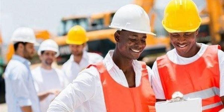 أولوية الكوادر الوطنية، كيف يمنع قانون العمل الجديد تحول الاستثمارات إلى بوابات خلفية للعمالة الوافدة؟