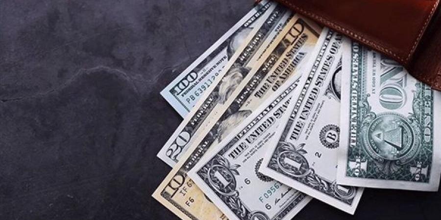 سعر صرف الدولار في البنوك المصرية اليوم الأحد (آخر تحديث)