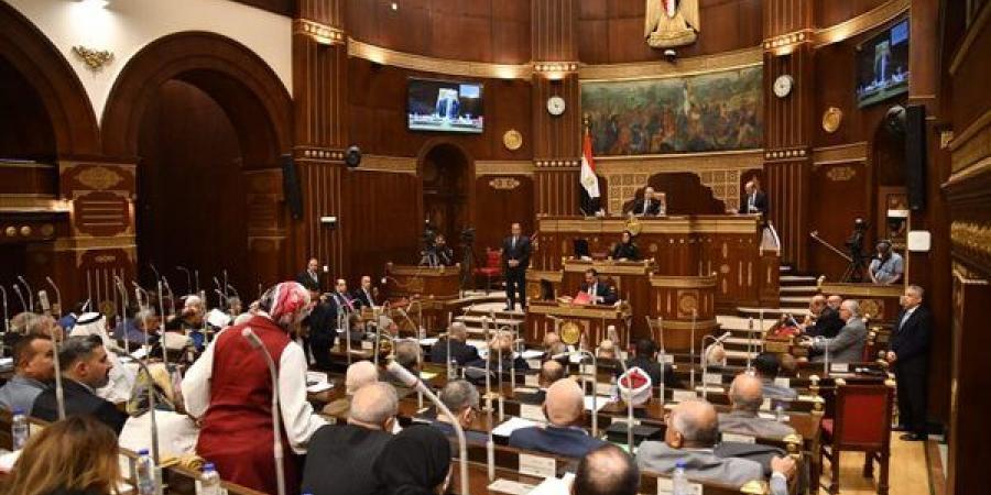 اليوم، مجلس الشيوخ يناقش تحديات الصناعة والمشروعات الصغيرة