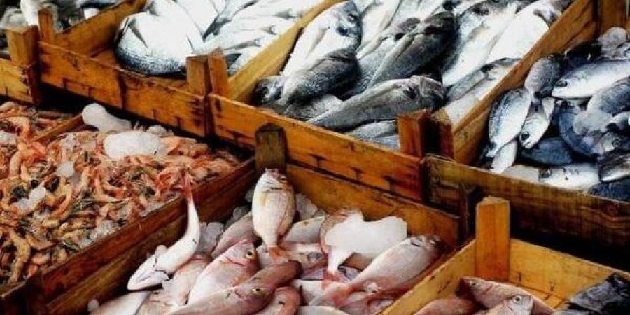 أسعار السمك اليوم الخميس، انخفاض جديد في البلطي وارتفاع الجمبري