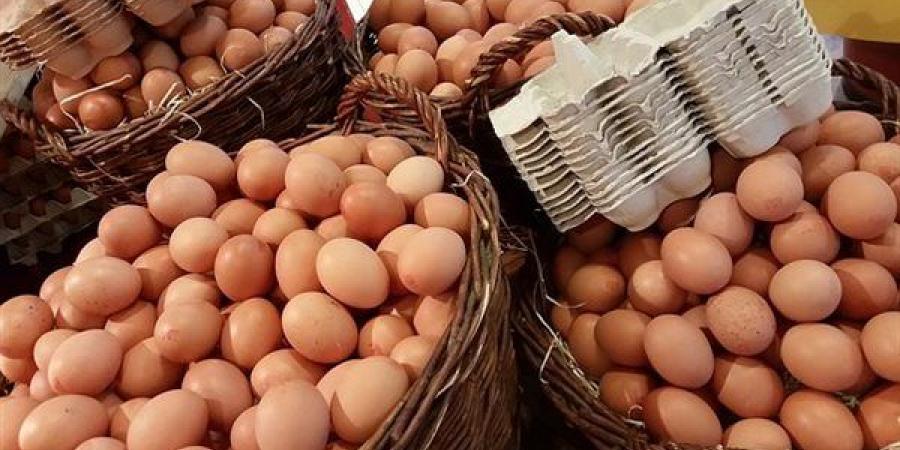 يصل إلى 7 جنيهات، سعر كرتونة البيض اليوم الجمعة في بورصة الدواجن