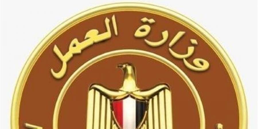 ثورة 30 يونيو تعيد رسم خريطة سوق العمل.. انخفاض نسبة البطالة إلى 6%.. التوسع في المشروعات التنموية والصناعية وتوفير وظائف في الخارج.. وإطلاق استراتيجية وطنية للتشغيل حتى 2030