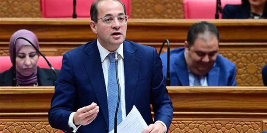 وزير المالية: النظام الضريبي الجديد يدعم الاستدامة المالية للتأمين الصحي دون المساس بحقوقه