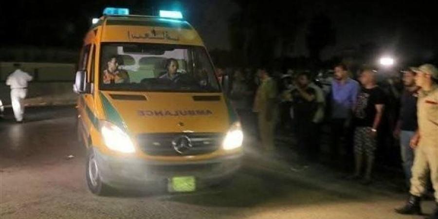 إصابة 10 أشخاص في تصادم لودر حكومي بـ"ميكروباص" بطريق "سمنود - الناصرية"