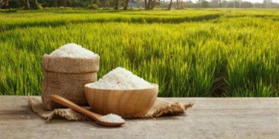 تعرف على سعر الأرز اليوم الخميس
