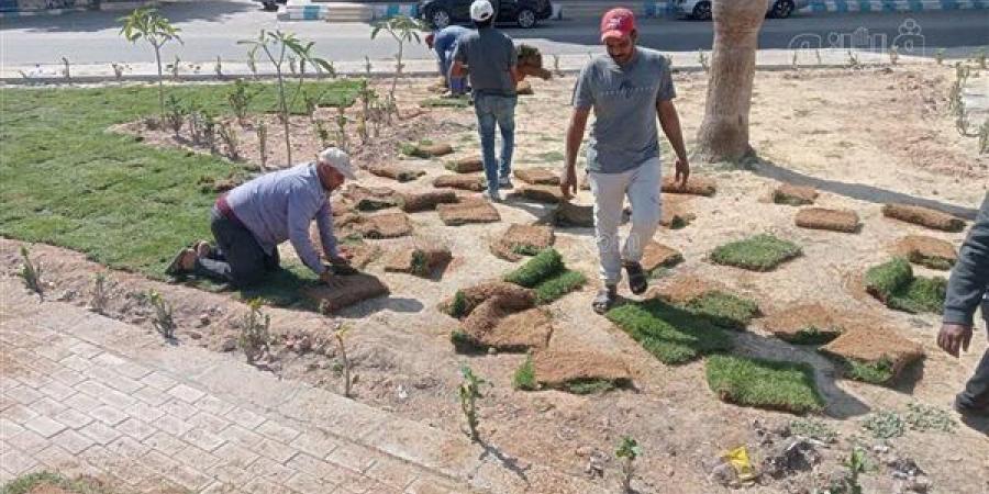 للارتقاء بالمظهر الحضاري، مطروح تطلق مسابقة لاختيار أفضل قرية وحي وتابع