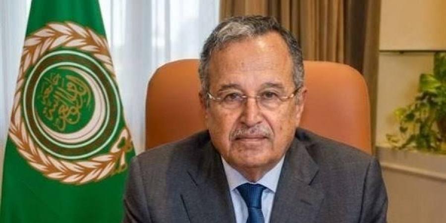 نبيل فهمى يبحث مع المندوبين الدائمين للجامعة العربية آليات العمل بالمرحلة المقبلة