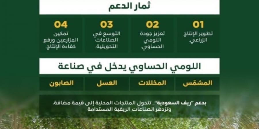«اللومي الحساوي» موروث زراعي ينتجه مزارعو الأحساء ويغذي الأسواق بالمنطقة