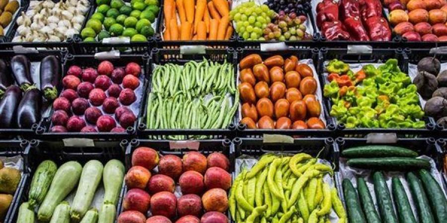 سعر الخضار اليوم، ارتفاع الطماطم 9 جنيهات "دفعة واحدة" وانخفاض 11 صنفا منها الليمون