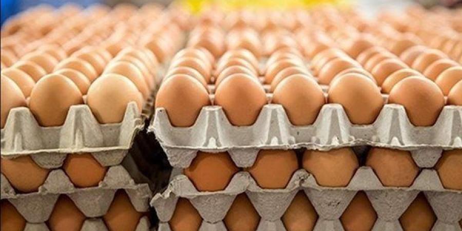 بإستثناء البلدي، انخفاض كبير في سعر كرتونة البيض اليوم الجمعة ببورصة الدواجن