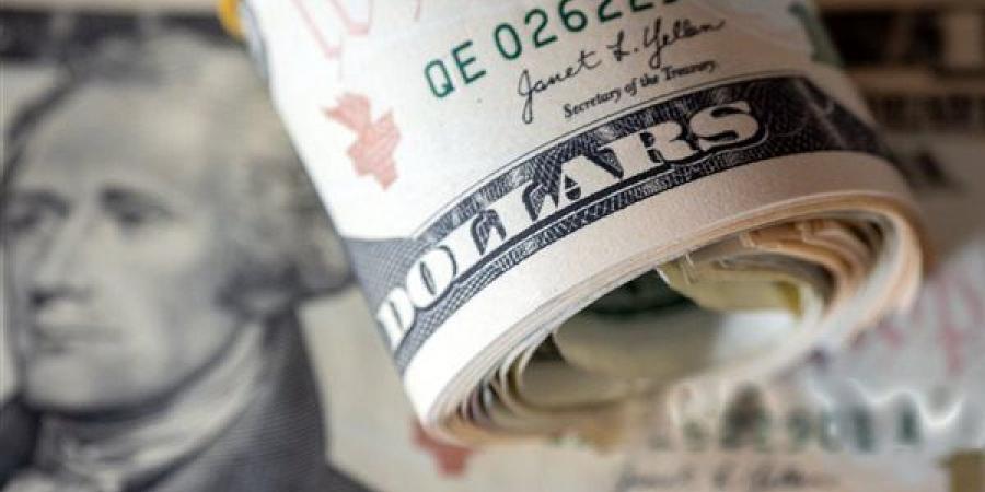 سعر الدولار أمام الجنيه بالبنوك المصرية اليوم 11 - 7 - 2026