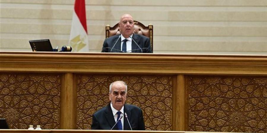 بدرجة وزير، النواب يوافق على ضوابط تعيين رئيس جهاز مستقبل مصر