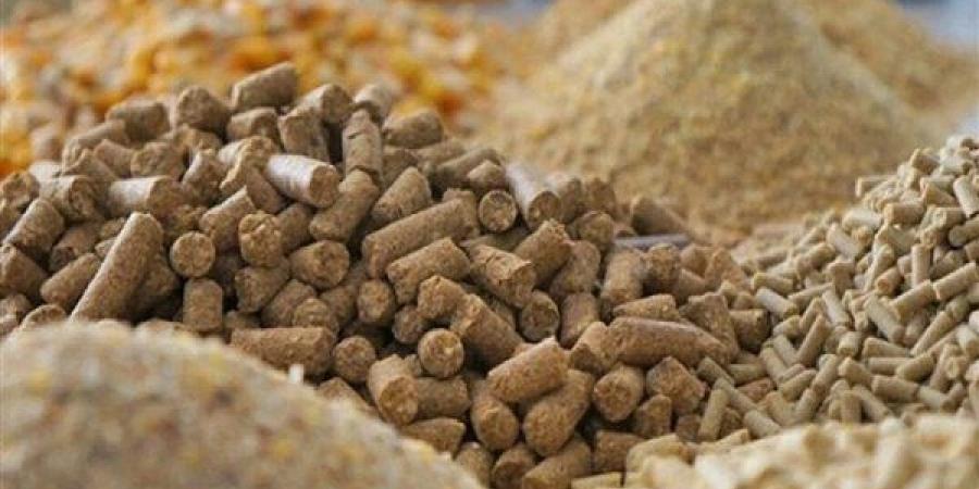 ارتفاع الردة، أسعار الأعلاف والحبوب اليوم في الأسواق