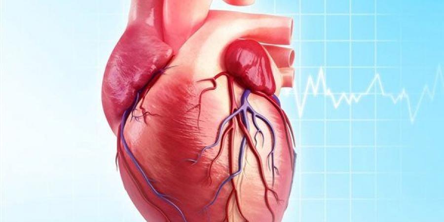 10 أعراض تؤكد الإصابة بقصور في عضلة القلب