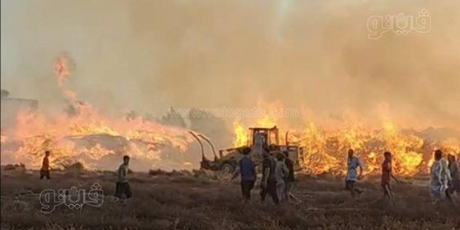 حريق هائل يلتهم شونة كتان بداخلها محصول 10 أفدنة في الغربية (صور)