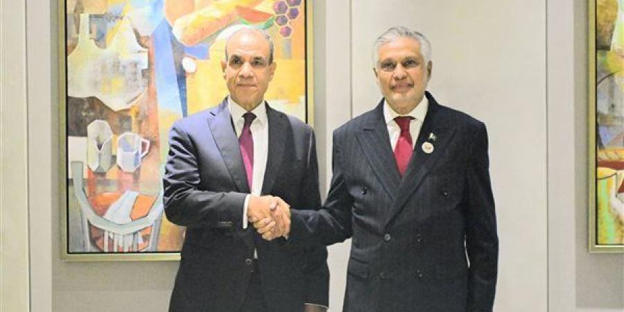 وزير الخارجية يبحث مع نظيره الباكستاني أهمية تعزيز التعاون الاقتصادي بين البلدين