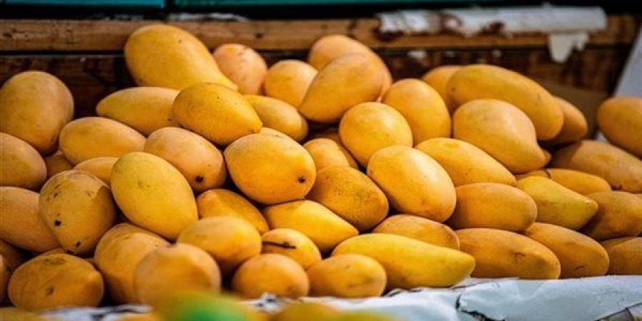 أسعار المانجو اليوم، 6 أصناف "تغري" المصريين والعويسي لـ"الفرجة"