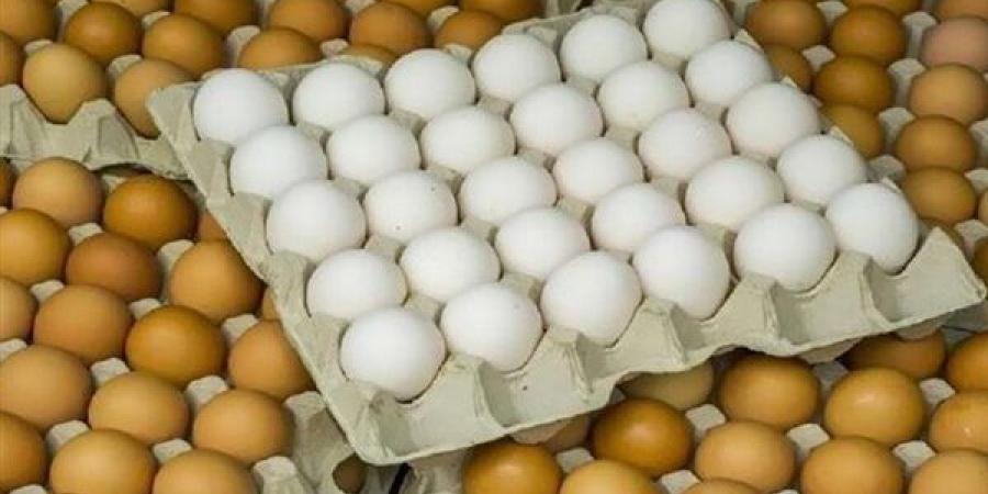 سعر كرتونة البيض اليوم الخميس في بورصة الدواجن