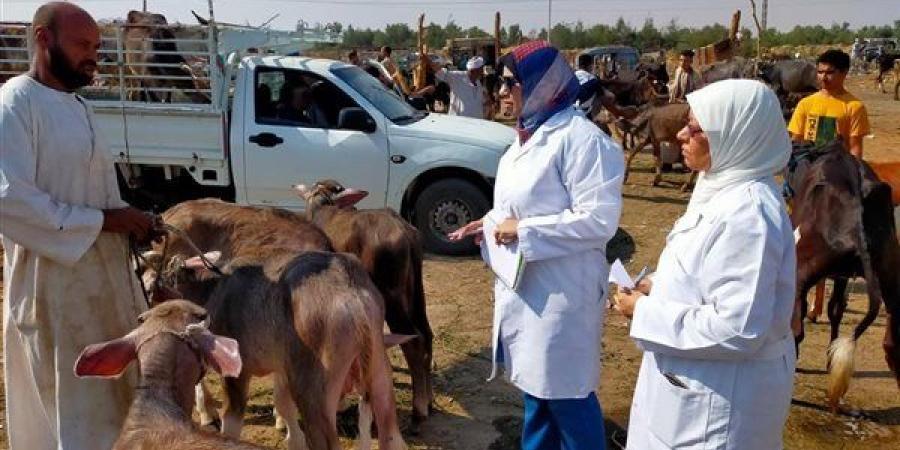 الزراعة: 21 ألف زيارة ميدانية لرصد الأمراض الوبائية وحماية الثروة الحيوانية
