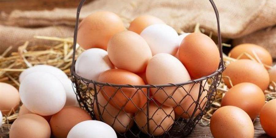 سعر كرتونة البيض اليوم السبت في بورصة الدواجن