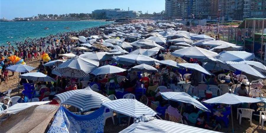 زحام على شواطئ الاسكندرية ورفع الرايات الحمراء والصفراء بسبب ارتفاع الموج
