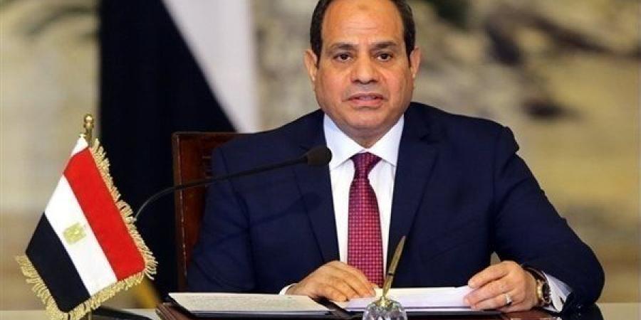 السيسي يؤكد تضامن مصر الكامل مع إسبانيا إزاء الحرائق التي شهدتها بعض المناطق مؤخرًا