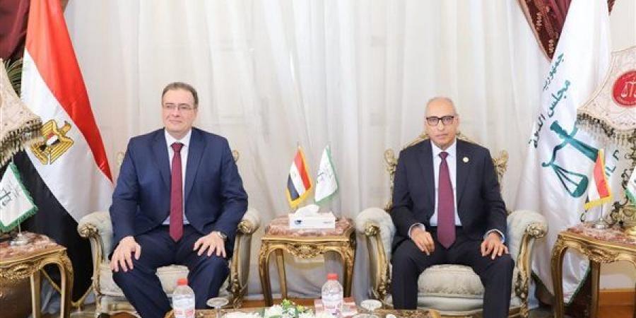 رئيس مجلس الدولة يبحث مع "التنظيم والإدارة" تعزيز التعاون لتطوير منظومة العمل الحكومي