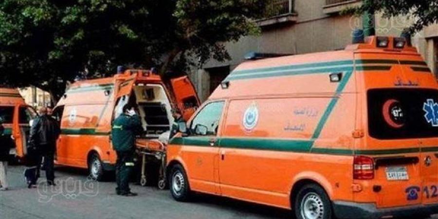 إصابات خطيرة لشابين إثر اصطدام ميكروباص بهما على طريق جمصة