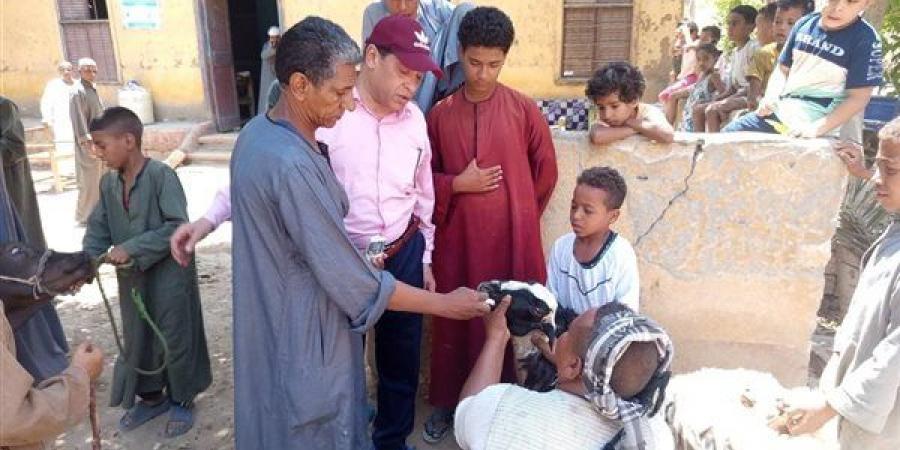 بيطري الأقصر: الكشف على 317 رأسًا من الماشية والأغنام والماعز بقرية الشغب