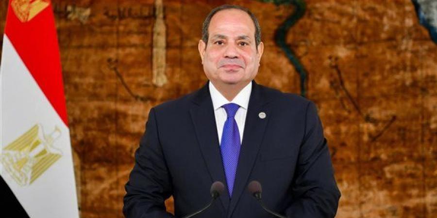 السيسي: نسعى لجذب المزيد من الصناعات الصينية إلى مصر