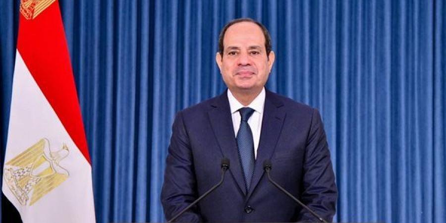 القطار الكهربائي، السيسي يستعرض إسهامات الشركات الصينية في المشروعات القومية