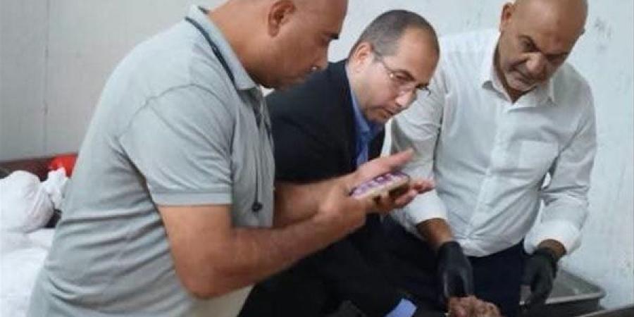9 آلاف رأس ماشية و1.3 مليون طائر، حصاد بيطري القليوبية بمجازر وتفتيش اللحوم خلال أغسطس