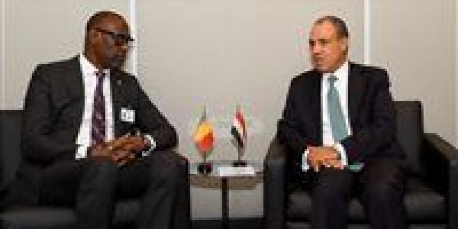 وزير الخارجية يلتقي نظيره المالي لبحث سبل تعزيز العلاقات الثنائية وتطورات الأوضاع في منطقة الساحل